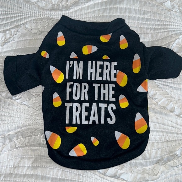 Halloween Outfit for Small Dog - Picture 1 of 4